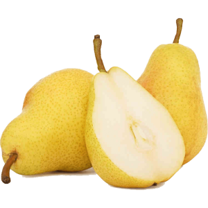 نهال میوه اصلاح شده