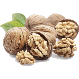 نهال میوه خوشه ای