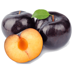 نهال آلو قطره طلا