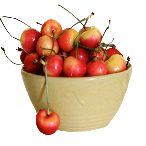 نهال گیلاس تک دانه