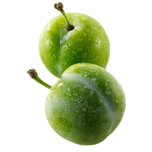 نهال گوجه سبز ترکیه