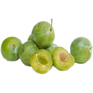 نهال گوجه سبز سردرودی