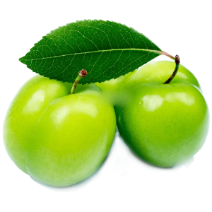 نهال گوجه سبز مراغه