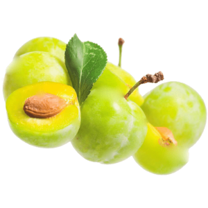 نهال گوجه سبز ملایر