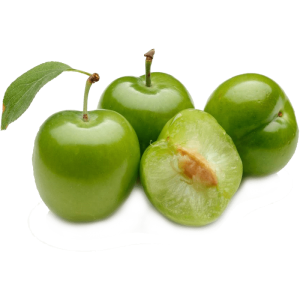 نهال گوجه سبز نخجوان