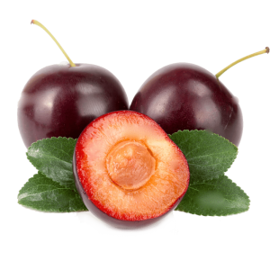 نهال گوجه قرمز